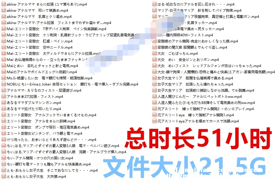 【逃亡重口】D&S sm调教系列,第二期，51小时 20G长合集