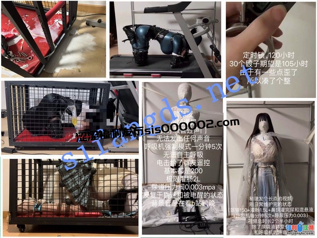 ⭐国产cc极限郊狼电击放置⭐炮击 导尿 高潮控制 排泄控制[某房原版]【1G】